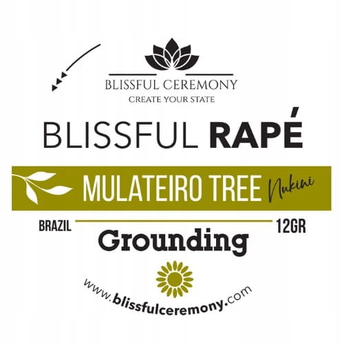 RAPÉH MULATEIRO TREE | RAPÉ NUKINI, BRAZYLIA | GROUNDING