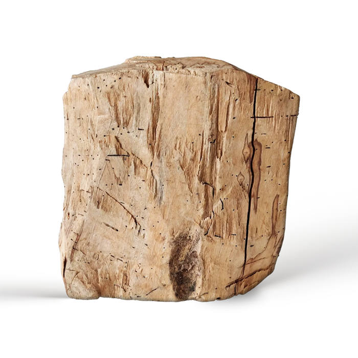 Naturalne kadzidło Palo Santo pień z Ekwadoru 4,8 kg