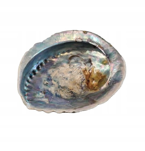 PODSTAWKA POD KADZIDEŁKO Kadzidło Palo Santo Muszla Abalone Rozmiar L