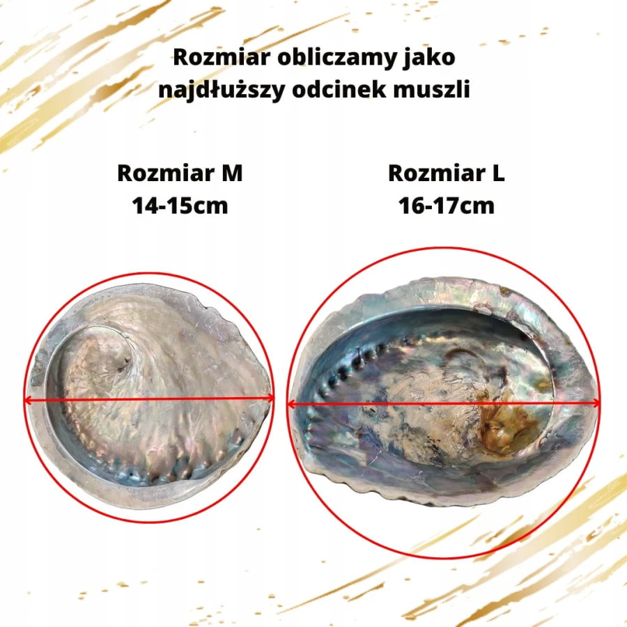 PODSTAWKA POD KADZIDEŁKO Kadzidło Palo Santo Muszla Abalone Rozmiar L