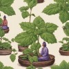 Mydło w kostce do kąpieli Patchouli Pacholi Paczula Murray Lanman Kemp Peru