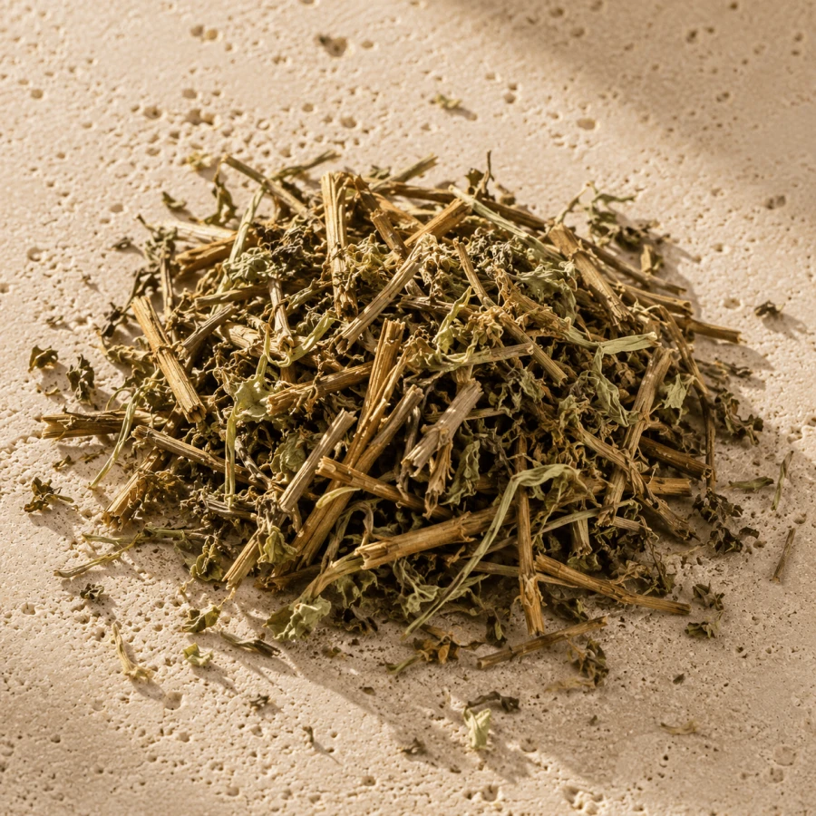 Suszone ziele Sinicuichi Heimia salicifolia z Meksyku