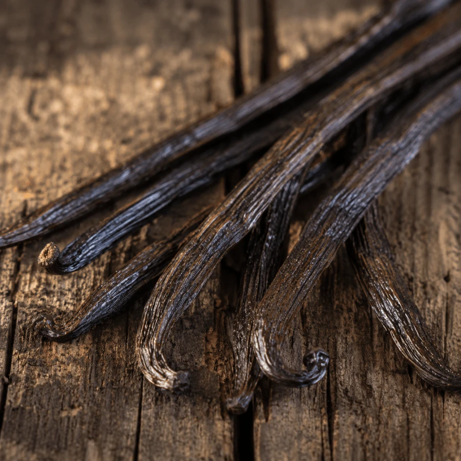 Laski wanilii Bourbon z Madagaskaru (Vanilla planifolia)
