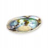Muszla Abalone Rainbow Haliotis iris jako podstawka pod Palo Santo i białą szałwię