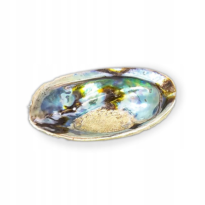 Muszla Abalone Rainbow Haliotis iris jako podstawka pod Palo Santo i białą szałwię