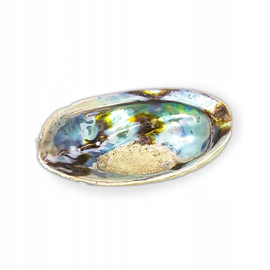 Muszla Abalone Rainbow Haliotis iris jako podstawka pod Palo Santo i białą szałwię