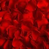 BIAŁA SZAŁWIA i Płatki Róż Kadzidło Susz Naturalne Certyfikowane Meksyk 30g