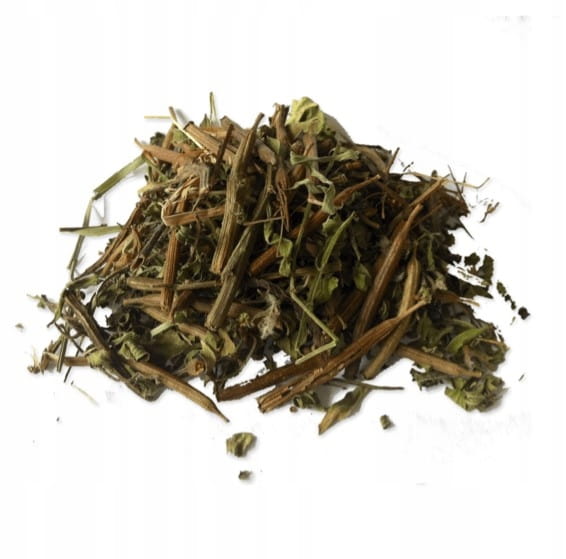 Ziele Słońca Sinicuichi Suszone Susz Heimia Salicifolia Meksyk Euforia 100g