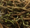 Ziele Słońca Sinicuichi Suszone Susz Heimia Salicifolia Meksyk Euforia 100g