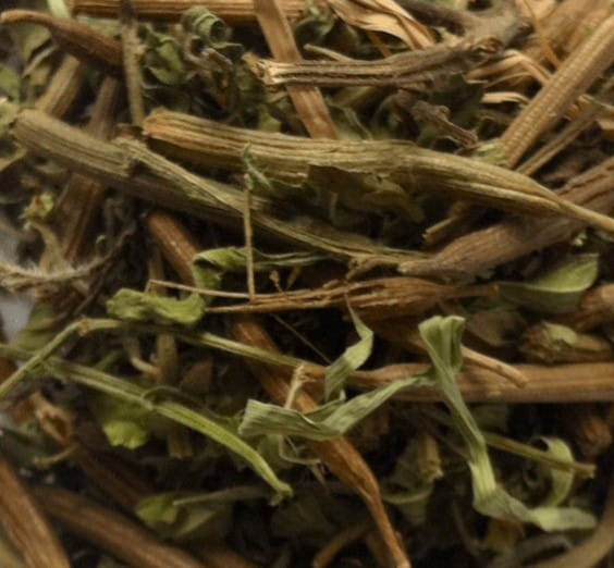 Ziele Słońca Sinicuichi Suszone Susz Heimia Salicifolia Meksyk Euforia 100g